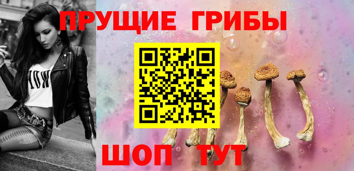 Псилоцибиновые грибы прущие грибы Балаково