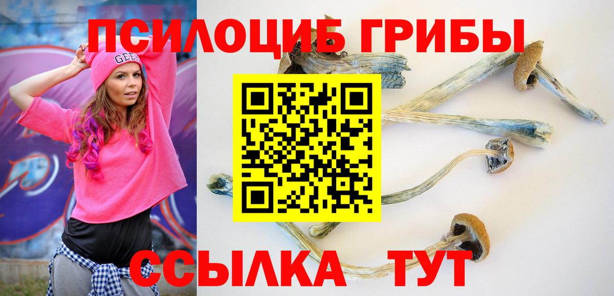 Псилоцибиновые грибы прущие грибы  Псилоцибиновые грибы Psilocybine cubensis  Балаково  Вход с VPN 