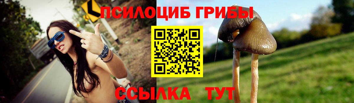 Псилоцибиновые грибы Psilocybe Балаково